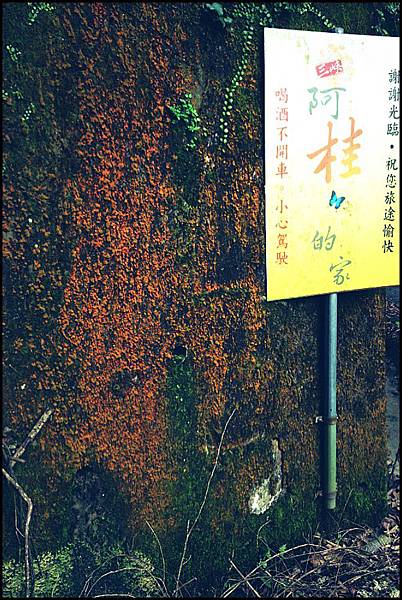 三峽竹筍27.jpg