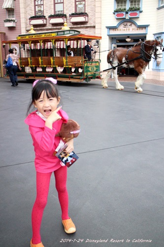 Disneyland8