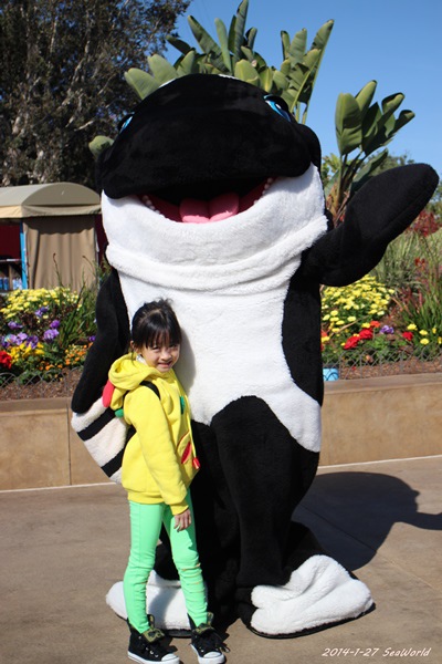 2014-1-27 SeaWorld19