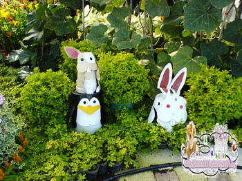 兔兔樂園 ♥