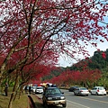 SAM_0190_副本.jpg