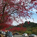 SAM_0191_副本.jpg