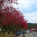 SAM_0187_副本.jpg