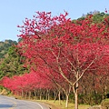 IMG_5416_副本.jpg