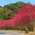 SAM_0011_副本.jpg