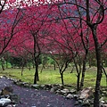 IMG_1156_副本.jpg