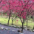 IMG_1160_副本.jpg