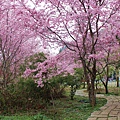 _MG_2168_副本.jpg