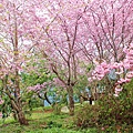 _MG_2171_副本.jpg