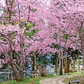 _MG_2178_副本.jpg