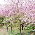 _MG_2259_副本.jpg