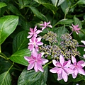 DSC01080_副本.jpg