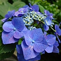 DSC01084_副本.jpg