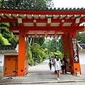 DSC01085_副本.jpg