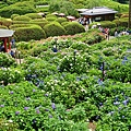 DSC01088_副本.jpg