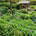 DSC01089_副本.jpg