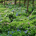 DSC01091_副本.jpg