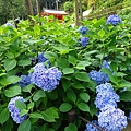 DSC01092_副本.jpg