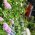 DSC01094_副本.jpg