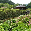 DSC01102_副本.jpg
