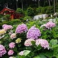 DSC01106_副本.jpg