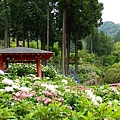 DSC01109_副本.jpg