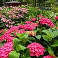 DSC01114_副本.jpg
