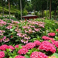 DSC01115_副本.jpg