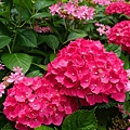 DSC01140_副本.jpg