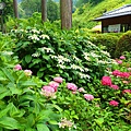 DSC01144_副本.jpg