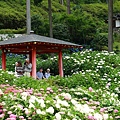 DSC01149_副本.jpg