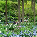 DSC01163_副本.jpg