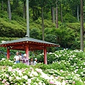 DSC01168_副本.jpg