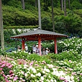 DSC01169_副本.jpg