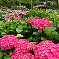DSC01171_副本.jpg