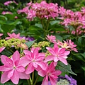 DSC01175_副本.jpg