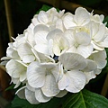 DSC01194_副本.jpg