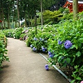 DSC01197_副本.jpg