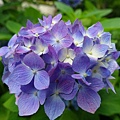 DSC01198_副本.jpg