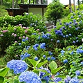 DSC01209_副本.jpg