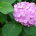 DSC01212_副本.jpg