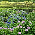 DSC01216_副本.jpg