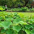 DSC01230_副本.jpg
