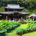 DSC01239_副本.jpg
