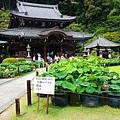 DSC01241_副本.jpg