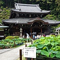 DSC01242_副本.jpg