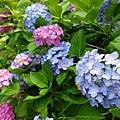 DSC01245_副本.jpg