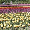 _MG_9716_副本1.jpg
