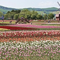 _MG_9743_副本.jpg