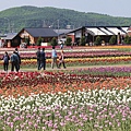 _MG_9754_副本.jpg